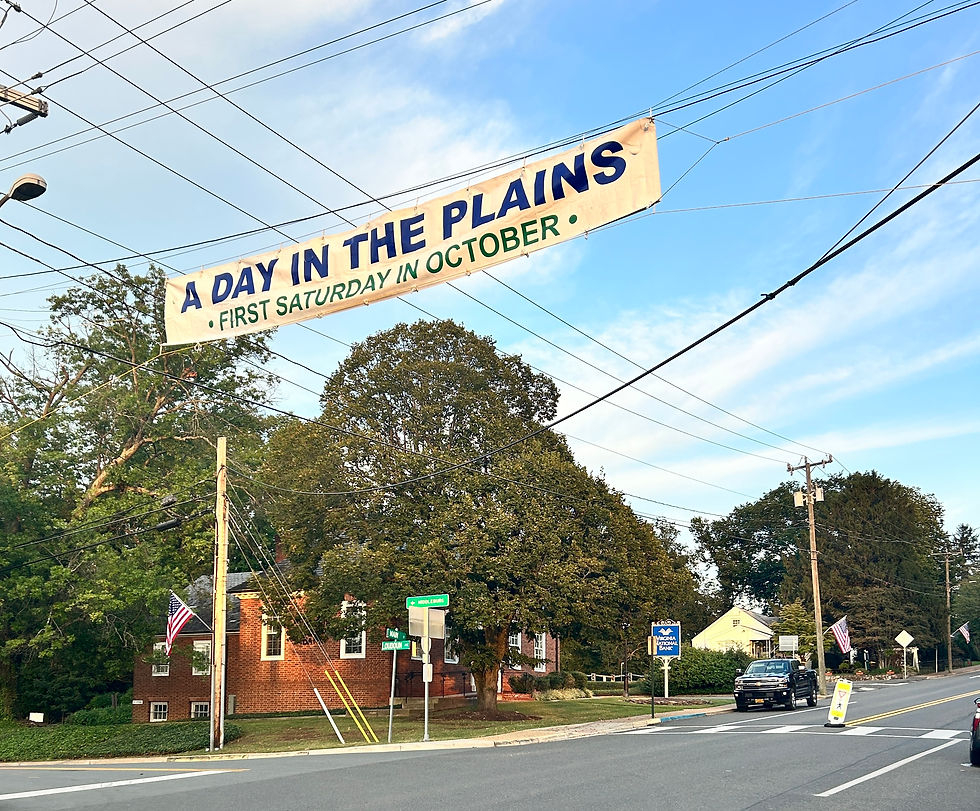 A Small Town Celebration in The Plains
