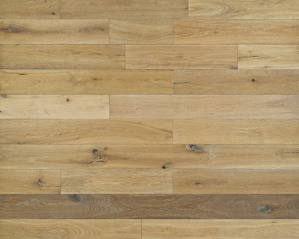 Hemingway Oak Scan Web.jpg