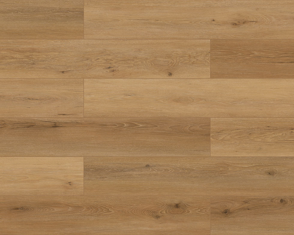 Steadfast Scan Web.jpg