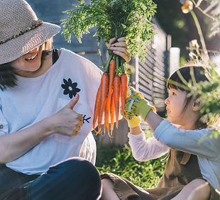 Joy of Harvest_edited.jpg
