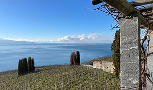 IMG_8187_edited.jpg
