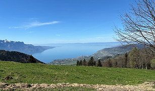 IMG_9452_edited.jpg