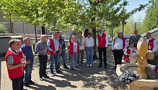 Fleur de lys_edited.jpg