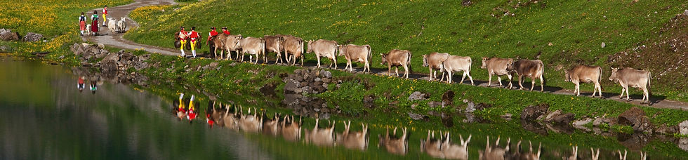 fond%20appenzell%203%202018%20bandeau_edited.jpg
