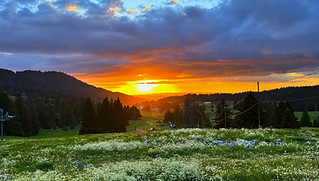 IMG_0157_edited.jpg