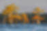 reelfoot6.jpg