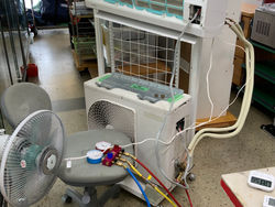 今年も暑くなりそうです😅