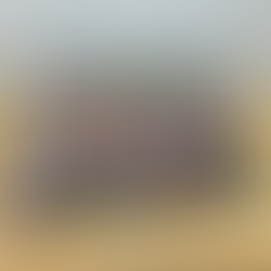 エギ大量買取❗️