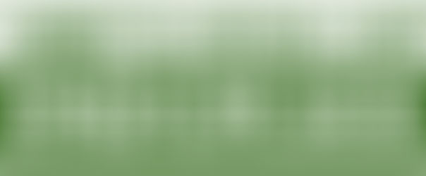 May 28 Blog: The June Primaries: Levar Stoney, Arjoon Srikanth and Takis Karantonis 