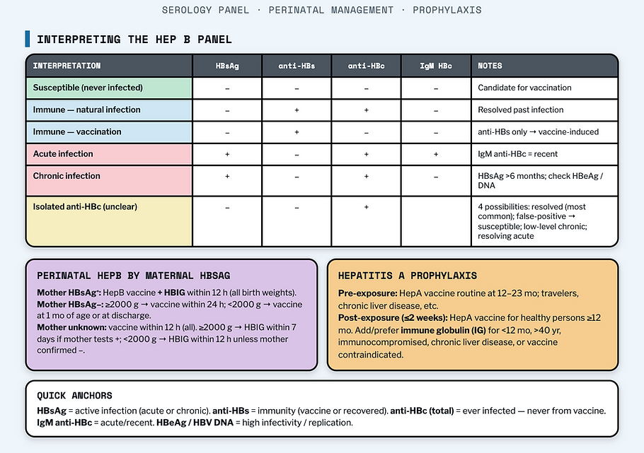 Sheet 26 - Hepatitis B & A.png