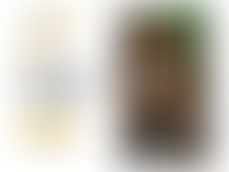 💼 Quero trocar de corretora: tenho de pagar? Uso a Revolut, o que devo saber antes de mudar?