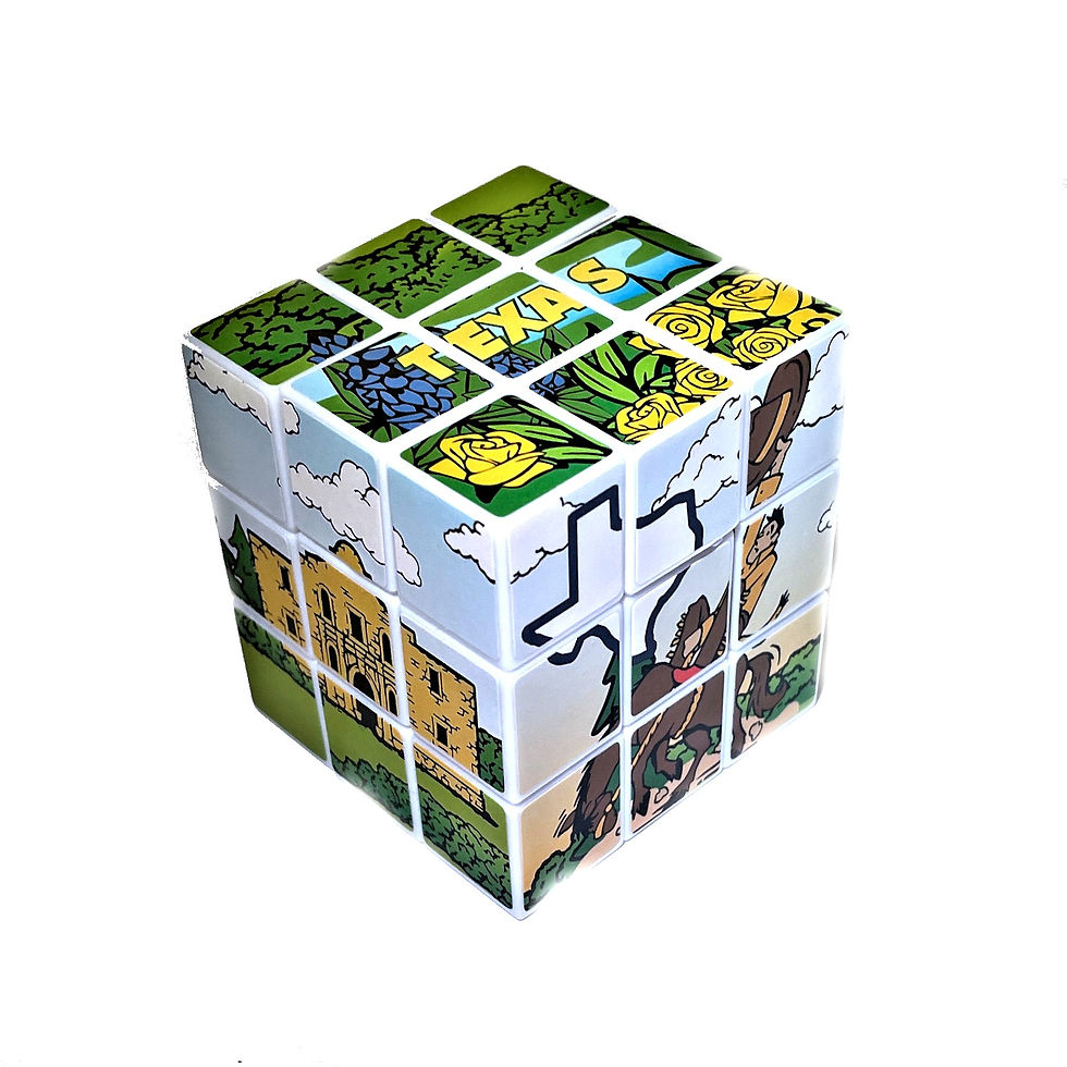 Texas Puzzle Cube