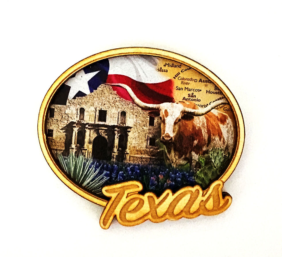 Dual Level Wood Magnet - Texas Collage