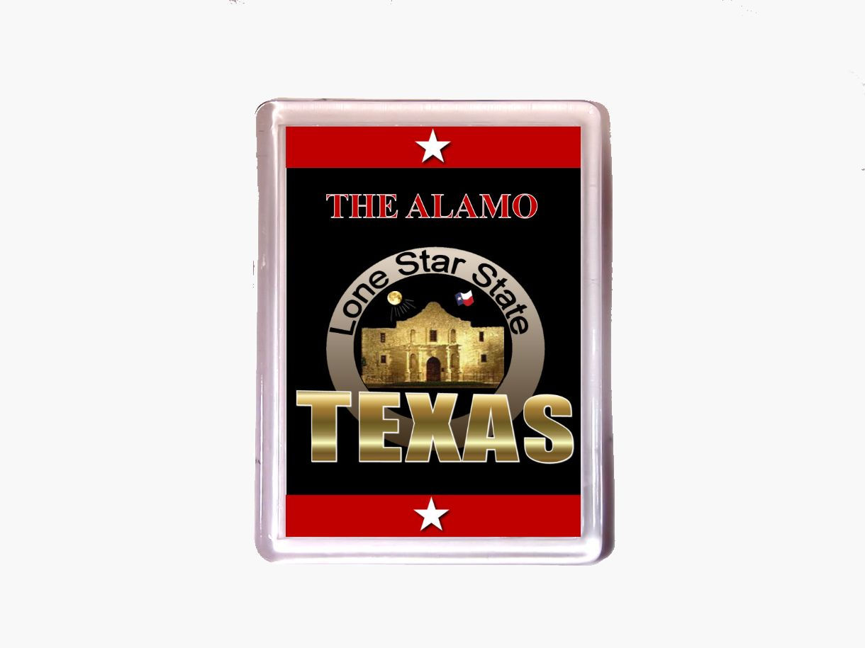 Texas Alamo Photo Magnet