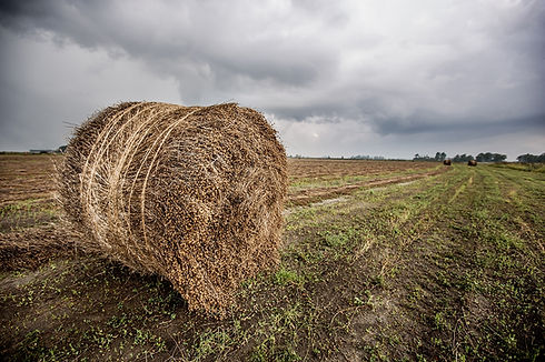 LANDBOUW-BUNDELEN_07_1.jpg