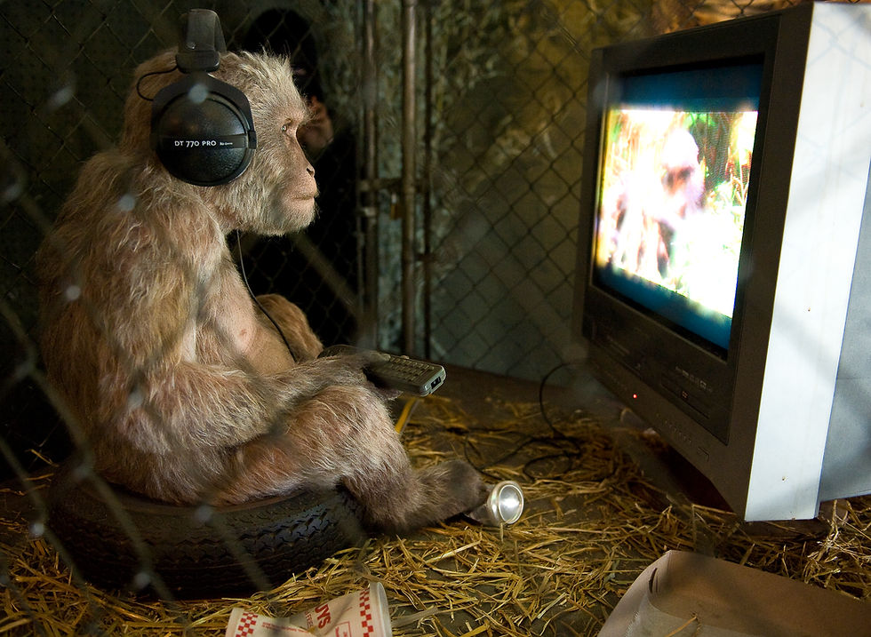 Monkey see, monkey can't do.