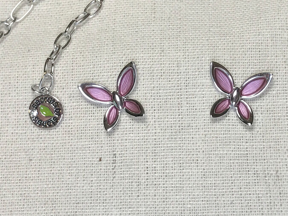 Thumbnail: the Butterfly Family