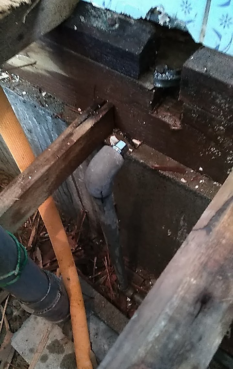 DIY03.jpg