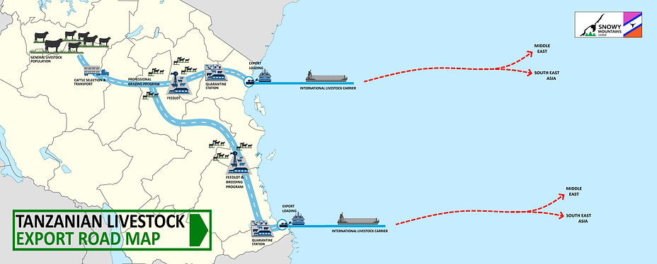 export road map 1 medium long.jpg