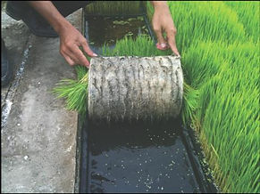 Brian test result.jpg