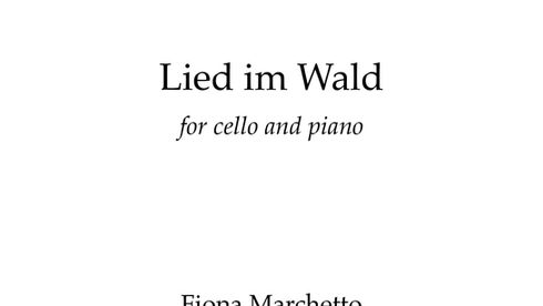 Lied im Wald