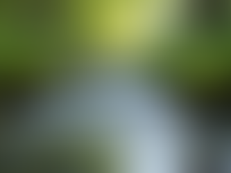 The Power of Mindfulness in Everyday Life