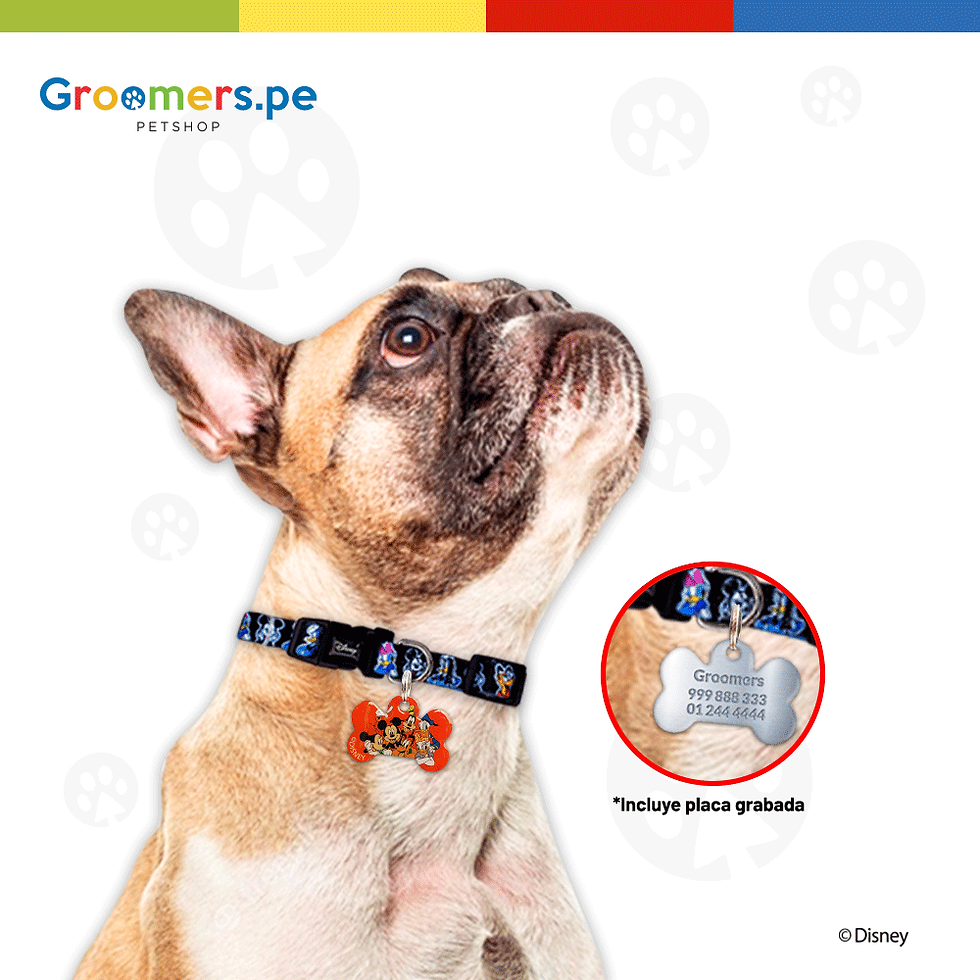 Miniatura: Placa de Identificación color rojo La casa de Mickey Mouse Disney #22 (4 cm)