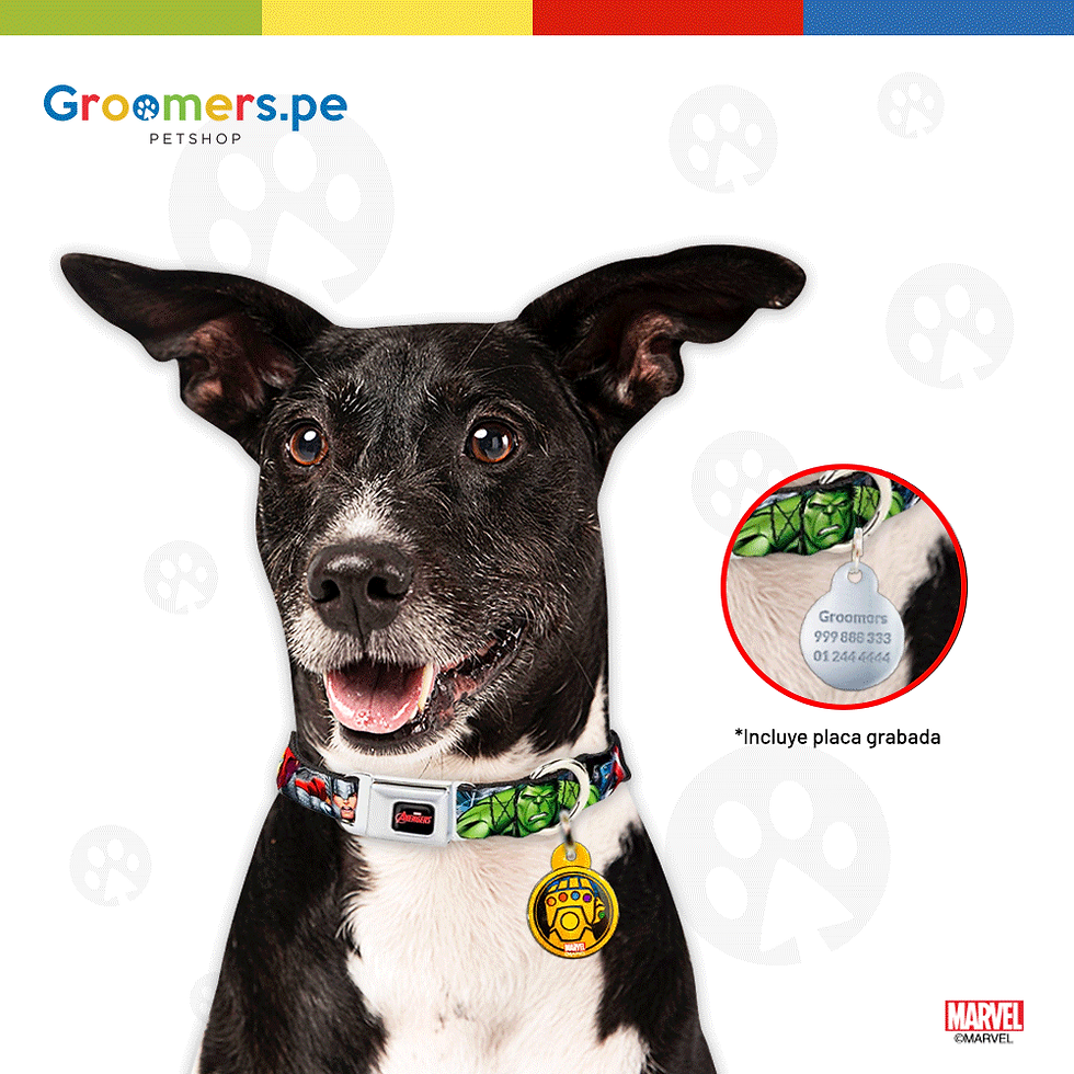 Placa de Identificación Guante del Infinito Thanos Marvel #39 (3cm