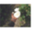 IR_AbiandaZinePRINT12