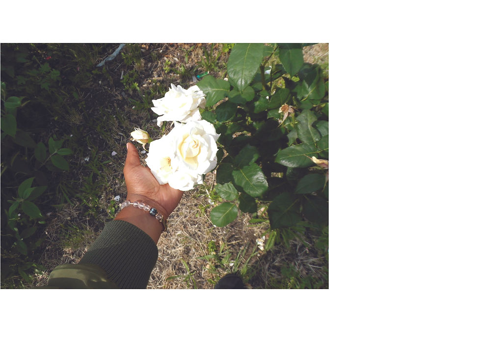 IR_AbiandaZinePRINT12