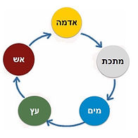 דיקור סיני בחיפה | חמשת האלמנטים ברפואה הסינית