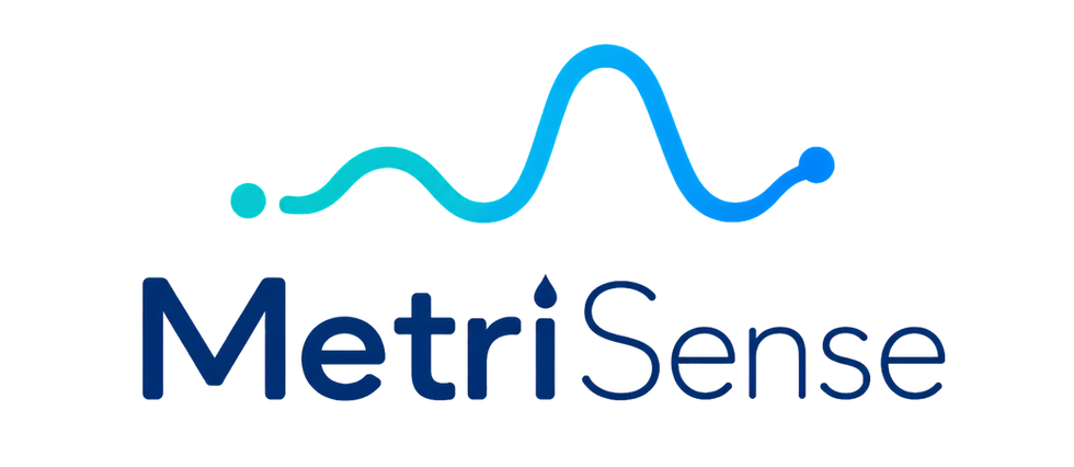 Logos MetriSense 2 (3).png