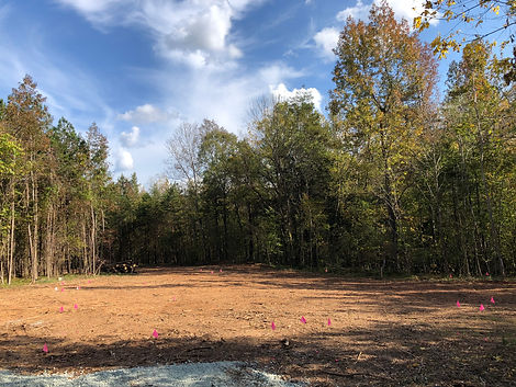 Cleared home site.