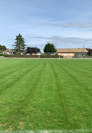 herbe 2.jpg