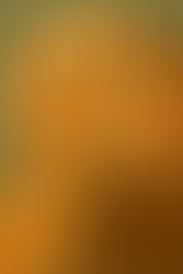 Athena, une présence vivante durant mes séances d'arthérapie