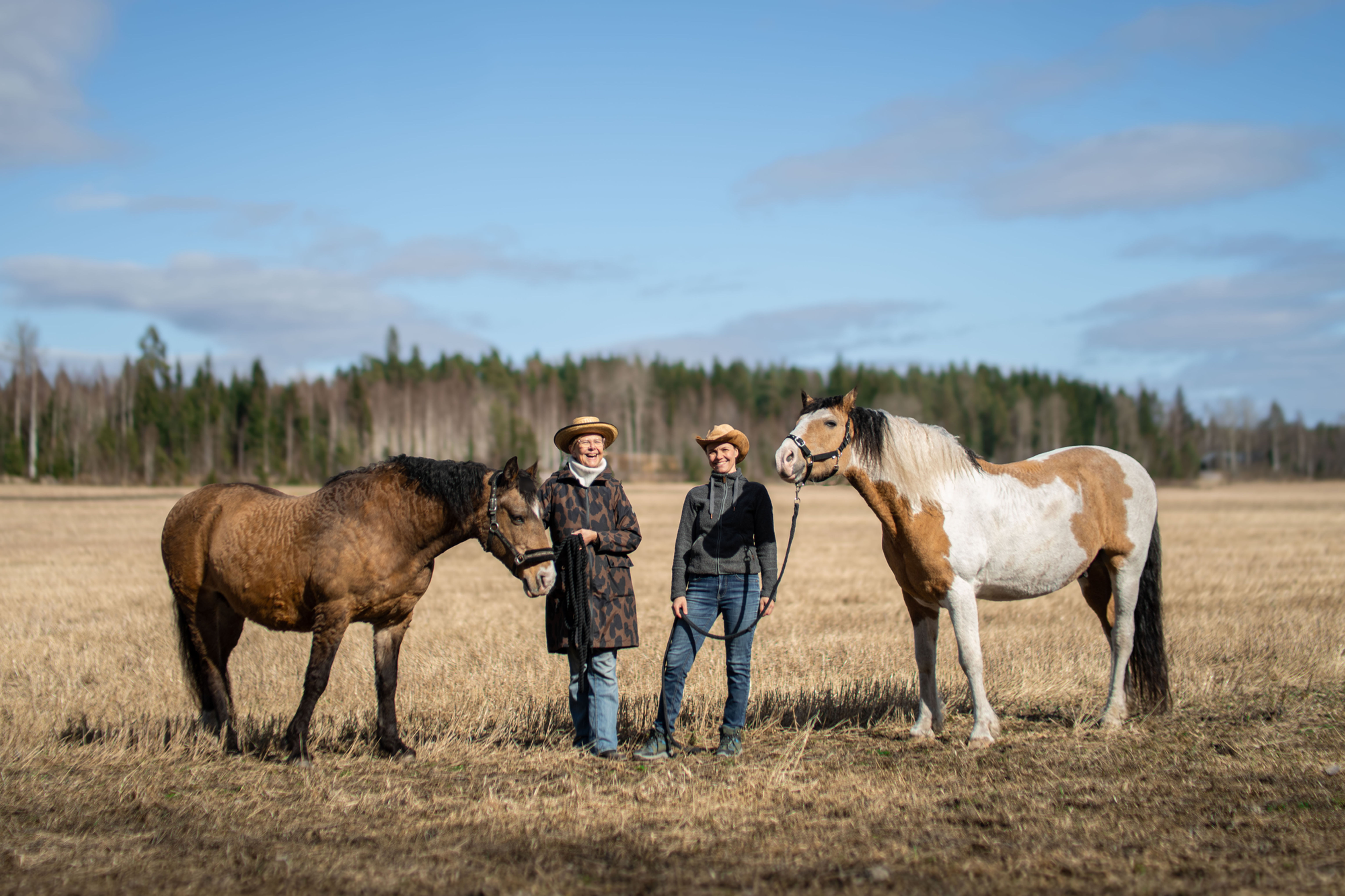 Yksityinen hevosen maastakäsittelytunti