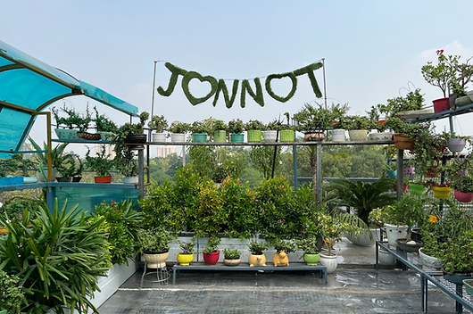 Beautiful Terrace Garden