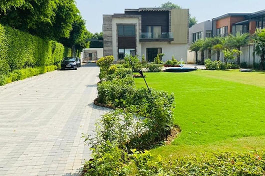 Beautiful green garden