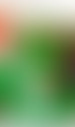 DIY clay pot garden with homegrown vegetables, watering, and gardening tools setup.