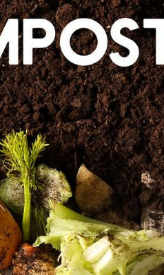 Eggshells, vegetable peels, and compost—natural compost for balcony garden setup.