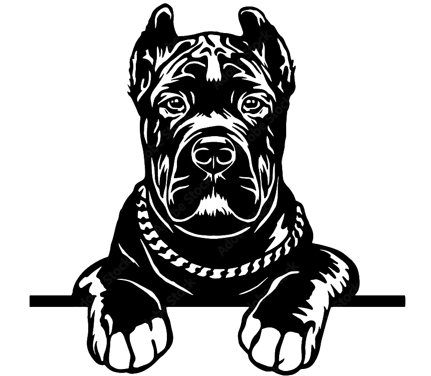PA Logo 2.gif