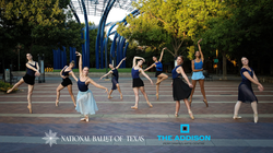 Website - Addison x NBT (2)
