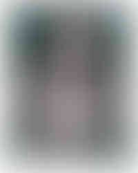 Silent_Scream_Statira_Alyea_Monotype_2020.jpg