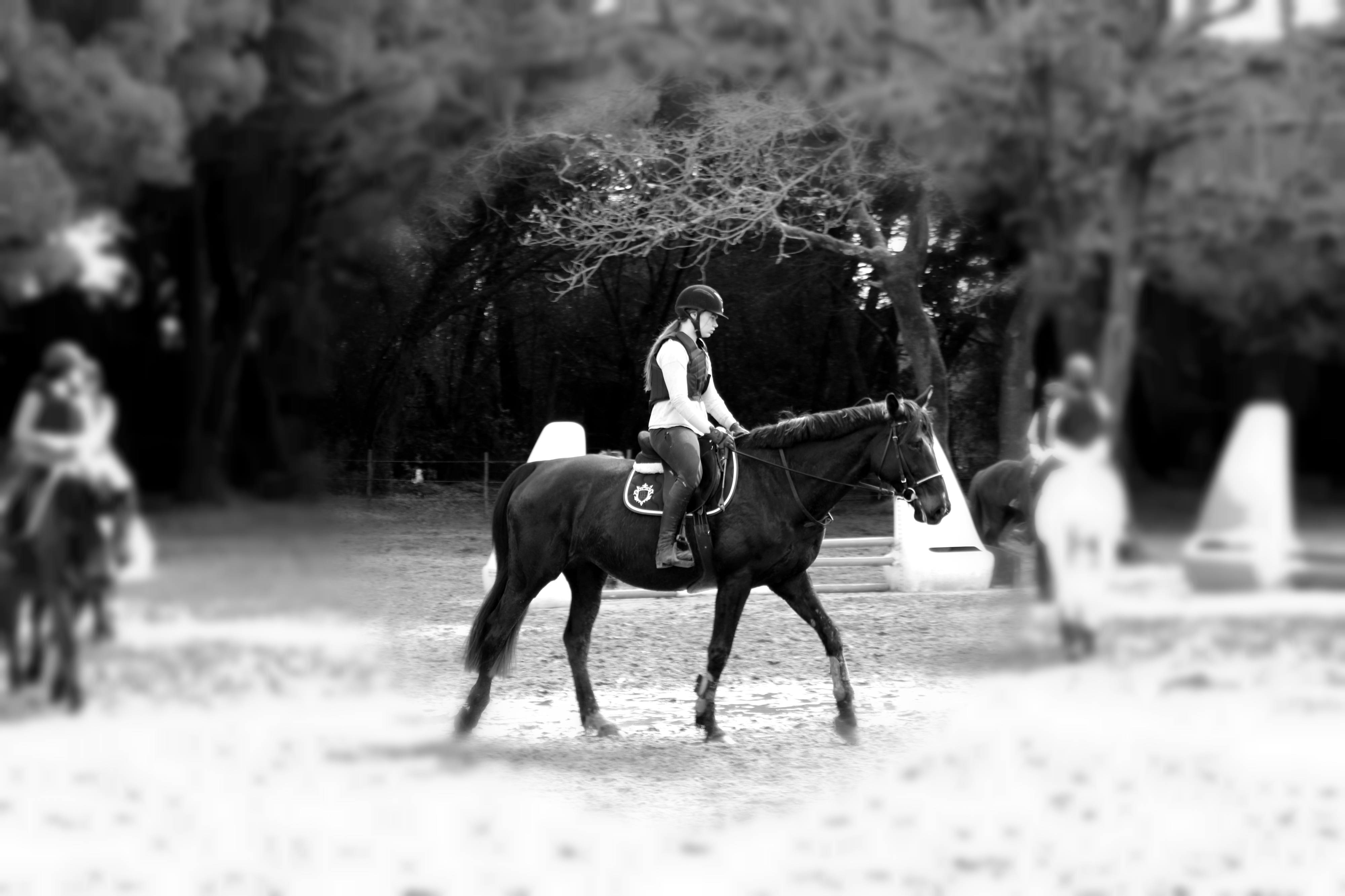 La galérie photos des Ecuries du Moulin Moreau | Île de Ré