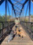5A71A95C-C7CD-45D1-B4A9-CB646D34FEA8.jpeg