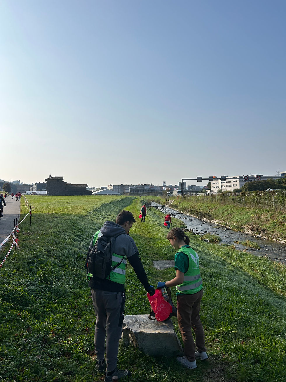 4 Aprile - 🌼 San Martino