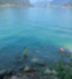 16 Agosto - 🧜‍♀️ Pulizia lago a Brusino Arsizio