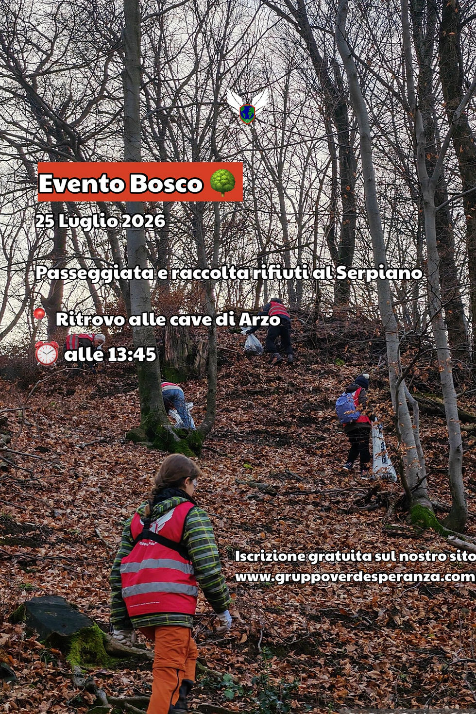 25 Luglio - 🌳 Raccolta al Serpiano