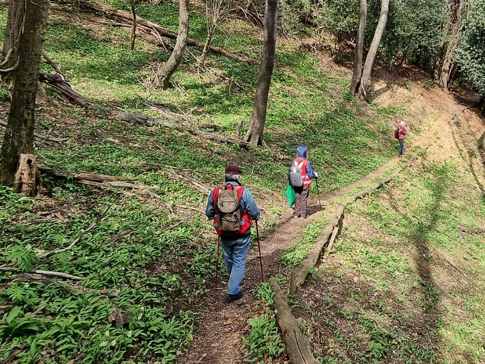 15 Febbraio - ⛰️ Sentiero Geopaleontologico e Trincee Monte Grumello