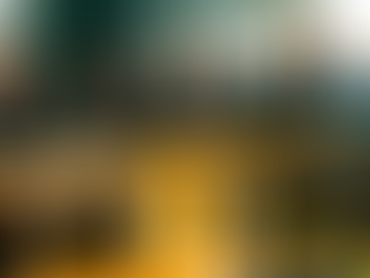 Likestilling og likeverd i Agder